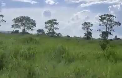Imagem 8: Vende-se uma excelente fazenda de 1.100 hectares