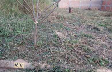 Imagem: O terreno possui 238m² de Área e está localizado em Cravinhos