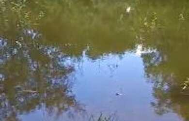 Imagem 1: Fazenda à venda, 9970400 m² por R$ 45.320.000 - Araguaína/TO