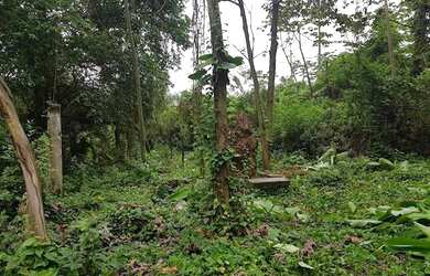 Imagem 12: Terreno na Freguesia Jacarepaguá - Rio De Janeiro/RJ