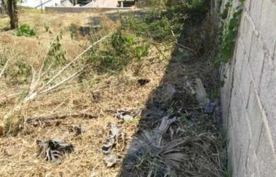 Imagem 1: Terreno à venda, 560 m² por R$ 320.000,00 - Jardim Paulista - Atibaia/SP