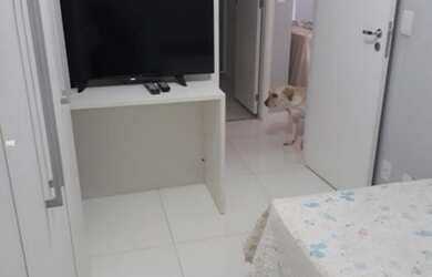 Imagem 16: APARTAMENTO PARA LOCAÇÃO NA TAQUARA CONDOMÍNIO MIO RESIDENCIAL