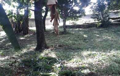 Imagem 4: Terreno à venda, 2000 m² por R$ 1.200.000 - Trevo - Belo Horizonte/MG