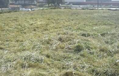 Imagem 5: Terreno Barra Mansa. 6.400m² de Área