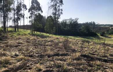 Imagem 4: Terreno Urussanga Velha/Içara