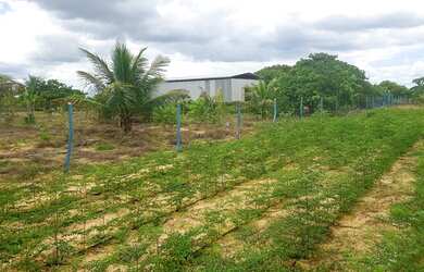 Imagem: A fazenda possui 304.000m² de Área e está localizado em