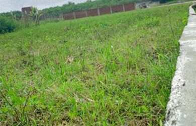Imagem: O terreno está localizado em Porto de Galinhas, Ipojuca à