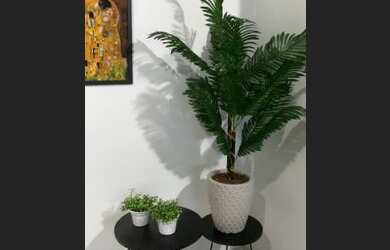 Imagem 16: Vendo apt na praia em Guarapari -ES praia da Areia Preta