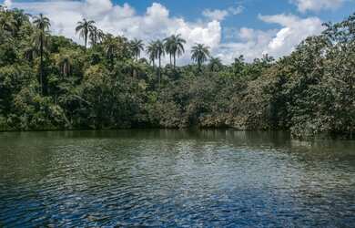 Imagem: O terreno possui 20.000m² de Área e está localizado em Lagoa