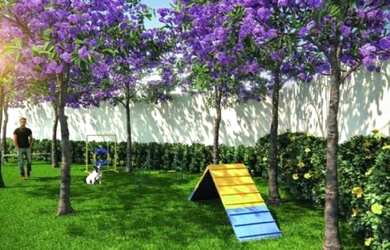 Imagem 7: Venda Residential / Apartment Jardim São Paulo São Paulo