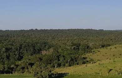 Imagem 5: . Uma Fazenda 110 alqueires 67 km de Porto Nacional