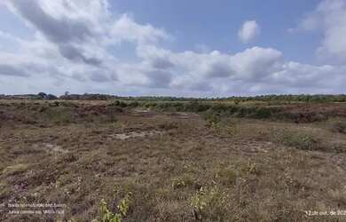 Imagem: A fazenda possui 632000000m² de Área e está localizado em
