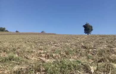 Imagem 3: Ag1- Lote/Terreno para venda tem 500 metros quadrados em Jardim Colonial...