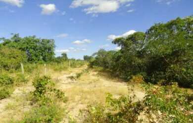 Imagem: O terreno possui 24.770m² de Área e está localizado em Alto