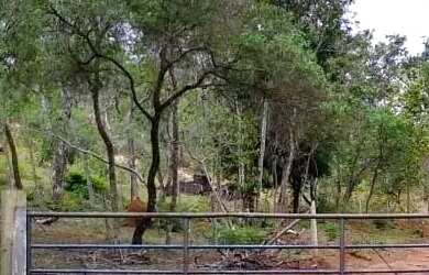 Imagem: O terreno possui 2.000m² de Área e está localizado em Mateus