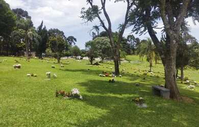 Imagem 2: Curitiba Jazigo Jardim da Paz
