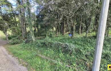 Imagem 4: Terreno para Venda em Nova Petrópolis, Piá