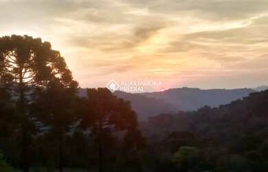 Imagem: Lindo sítio à venda em Canela, na encantadora Serra Gaúcha