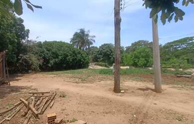 Imagem: Aluguel pasto