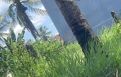 Imagem: O terreno possui 25m² de Área e está localizado em Itaporanga