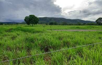 Imagem 6: Fazenda 755 hectares. 755m² de Área