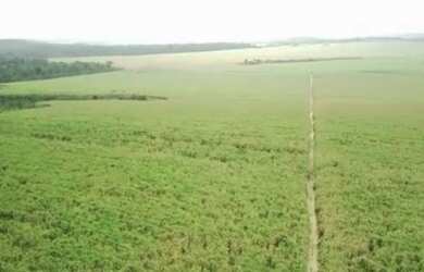 Imagem 2: 248 alquieres dupla aptidão por 24.800 milhões de reais no Pará