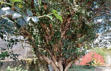 Imagem 15: SÃO PAULO - Casa Padrão - VILA PRUDENTE