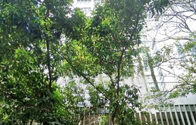 Imagem: O apartamento na cobertura possui 2 Dormitórios, 3 Banheiros