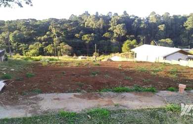 Imagem: O terreno possui 396m² de Área e está localizado em São