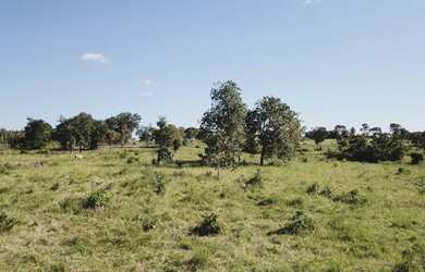 Imagem 2: Fazenda com 117 alqueires Região de Goiás Velho - GOIÁS