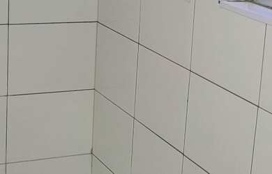 Imagem 6: Apartamento para locação