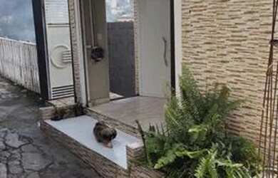 Imagem 2: Casa na tira dentes venda se