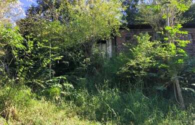 Imagem 4: Chácara na ERS 452 - Vale Real - RS