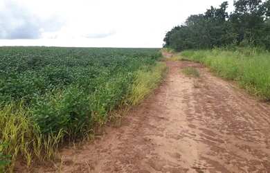 Imagem 8: Fazenda c/ 720he, sendo 500he em lavoura, Município de Rondonópolis-MT