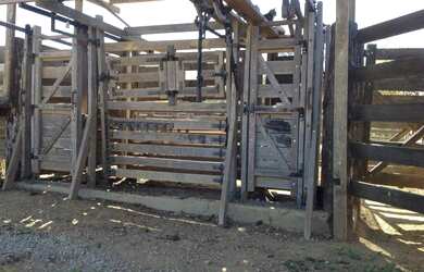 Imagem 7: OPORTUNIDADE ÚNICA Fazendinha de 38 hectares as margens da BR a 12 km...