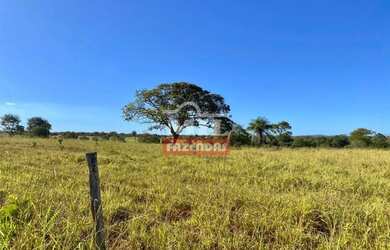 Imagem 12: Fazenda 68 alqueires 329 hectares Campos Verdes-GO