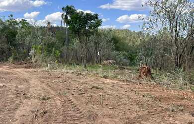 Imagem: O terreno possui 600m² de Área e está localizado em Centro