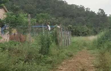 Imagem: O terreno possui 1.000m² de Área e está localizado em Plano