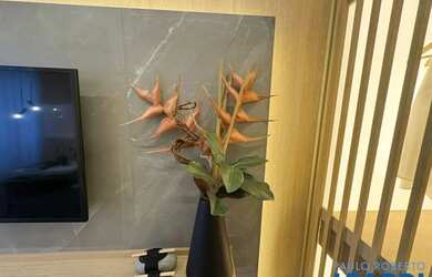 Imagem 12: APARTAMENTO - BELA VISTA - SP