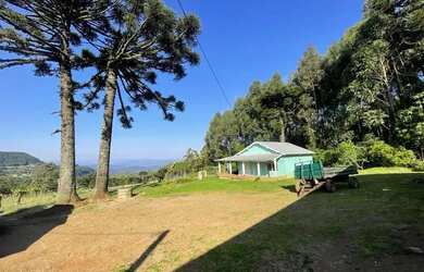 Imagem 2: Sitio - Bairro Serra Grande