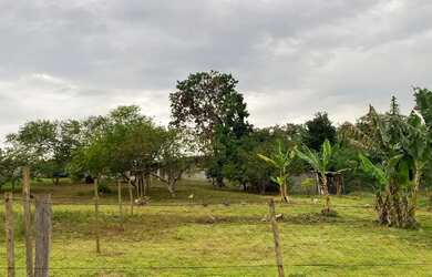 Imagem 2: Terreno Capovinha Votorantim 1000mt 15x66mt br 1000mt 15x66mt