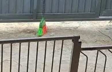 Imagem 14: Casa com 3 dormitórios à venda, 78 m² por R$ 580.000,00 - Vista Alegre...