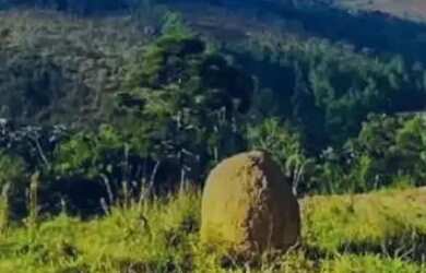 Imagem: O terreno possui 600m² de Área e está localizado em Centro