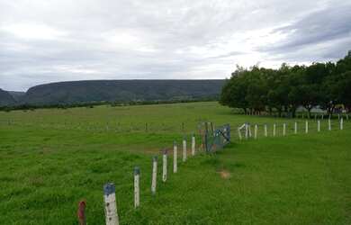 Imagem 3: Fazenda 755 hectares. 755m² de Área