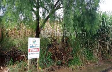 Imagem: O terreno está localizado em Jardim Marissol, Apucarana à