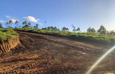 Imagem: O terreno possui 800m² de Área e está localizado em Centro