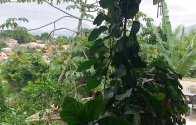 Imagem 2: CASA EM BOA VISTA. Piscina, Churrasqueira, VarandaeÁrea de serviço