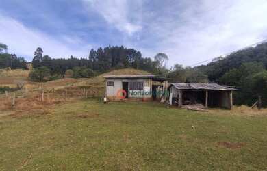 Imagem 4: Chácara à venda, 4,5 alqueires por R$ 520.000 - Guabiroba - Guarapuava/PR