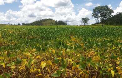 Imagem: A fazenda possui 101m² de Área e está localizado em Vila