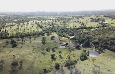 Imagem 11: Fazenda com 117 alqueires Região de Goiás Velho - GOIÁS